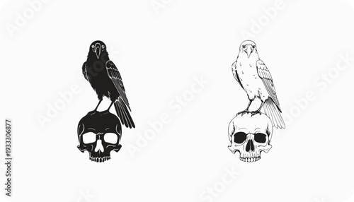 A black silhouette and a white outline of a bird perched on a skull on a white background (29