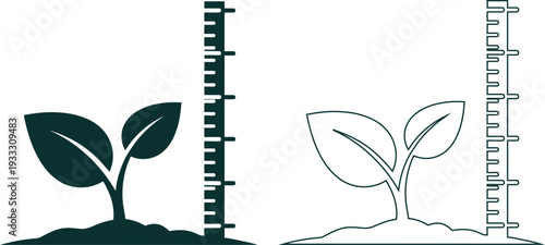 Plant growth measurement illustration with seedlings isolated on transparent background