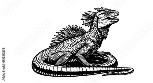 detailed black and white roaring lizard line drawing
