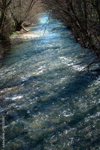 Arga River flowing between trees in Huarte, Navarra