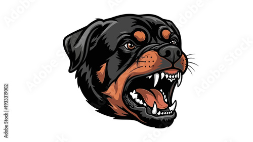 Aggressive Rottweiler Dog Head Portrait, Fierce Expression, Bared Teeth, Rottweiler Breed
