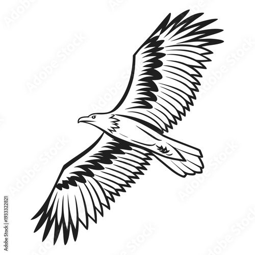 Flying majestic bald eagle line art vector illustration in a dynamic soaring pose isolated on a clean white background