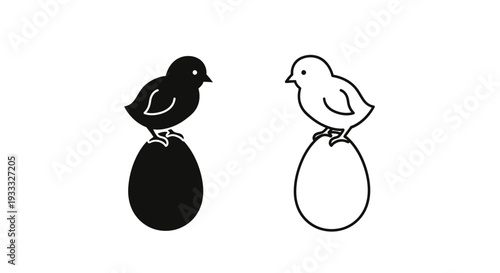 Black and white birds on eggs Vector