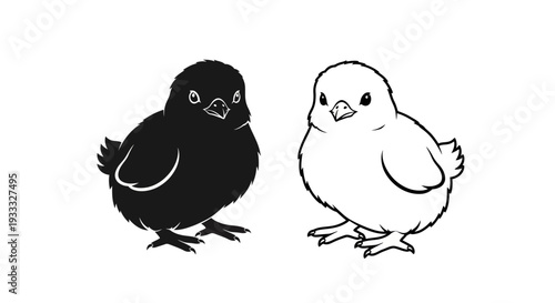 Chicken and black chick Vector