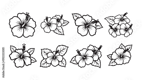 Set of eight tropical hibiscus flower illustrations with leaves black outline vector graphic