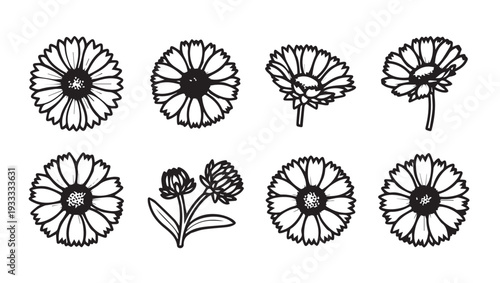 Set of black and white daisy flower illustrations with buds isolated on white background