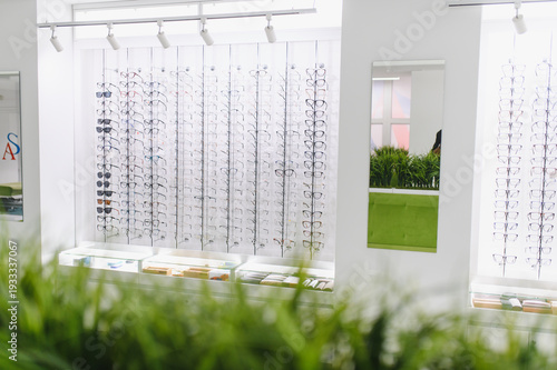 Canvas Print Eyeglasses collection displaying along showroom wall in optical shop