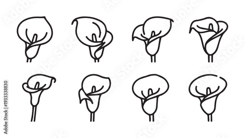 Calla Lily Flower Icons Set Minimalist Outline Vector Graphics Isolated on White Background