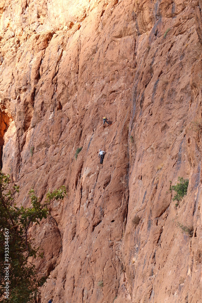 Obraz premium Climbers scale a sheer face in Morocco's Todra Gorge