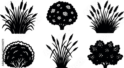Silhouette vector set showing six marsh reeds and flowering bushes close up flat icon collection black on white minimal isolated