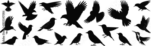 Flying and perched bird silhouettes collection isolated on white background, black avian vector set for wildlife design, logo and illustration