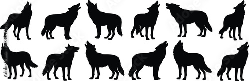 Wolf silhouettes collection isolated on white background, black howling and standing wolf vector set for wildlife logo, tattoo, print and outdoor design