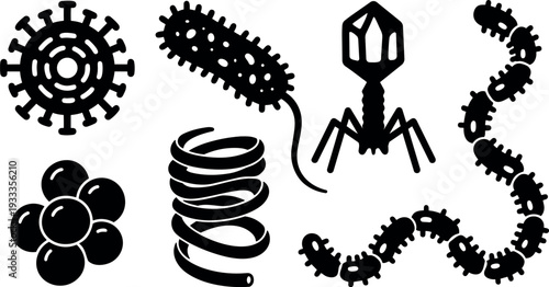 Flat design set of microbiology icons showing bacteriophage virus spiral bacterial chain and cocci in simple black silhouettes isolated collection