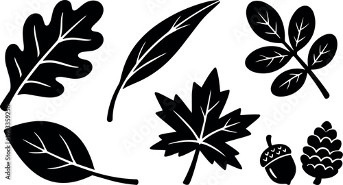 Flat design leaf silhouette set with oak maple willow acorn and pine cone isolated vector art bold simple