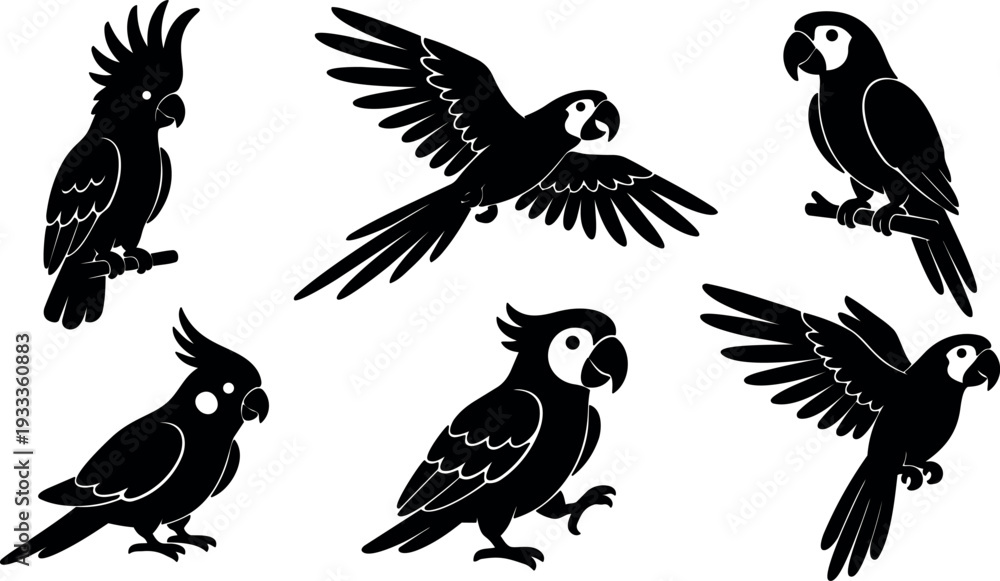 Obraz premium Flat design parrot silhouette set multiple poses cockatoo and macaw flying perched standing close up profile vector icons simple black