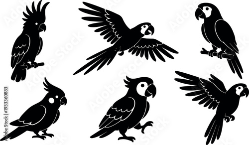 Flat design parrot silhouette set multiple poses cockatoo and macaw flying perched standing close up profile vector icons simple black