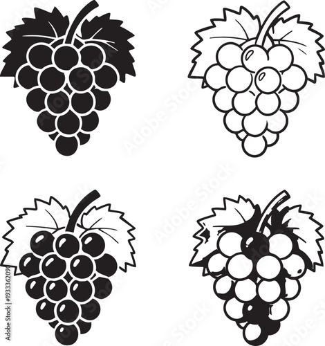 Vector Illustration of Fresh Grape Bunch on Vine with Leaves