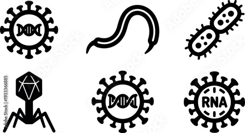Flat design microbiology icon set showing virus rna dna bacteriophage bacteria and worm silhouette in simple black vector isolated collection