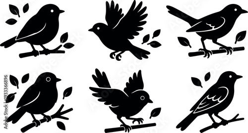 Flat design bird silhouette icon set six perched and flying songbirds on branches close up minimal nature vector elements black
