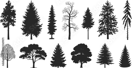 Coniferous and deciduous tree silhouettes collection, black pine forest vector set, nature plant icons, woodland landscape elements, timber silhouettes.