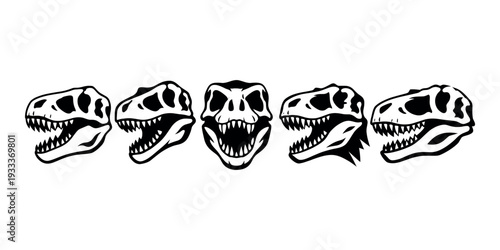 Tyrannosaurus Rex skull collection showing various angles of a prehistoric predator fossil. Vector art representing evolution