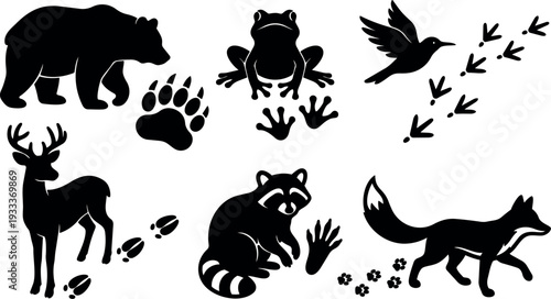 Silhouette vector forest collection showing bear deer fox raccoon frog and bird simple icons with animal tracks and paw prints