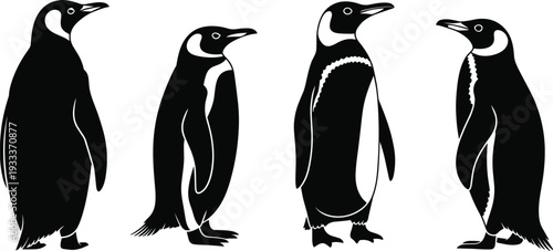 Penguin silhouettes collection, emperor penguin vector icons, arctic animal flat illustration, cad drawing flat vector illustration, flightless bird.