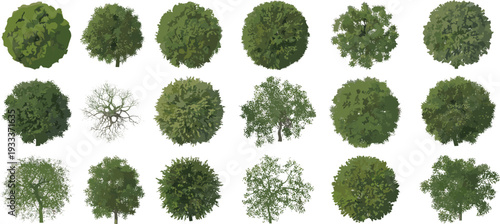Top view tree collection, green garden plants and forest park elements set, cad drawing flat vector illustration, black.