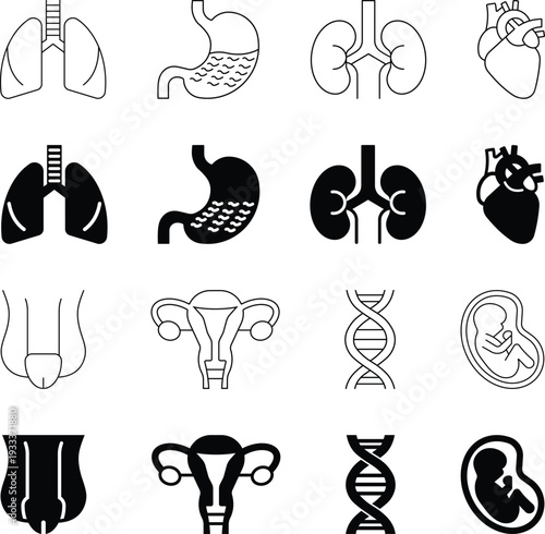 Human Anatomy and Biology Icons Set
