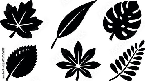 Flat design leaf silhouette icons set showing six distinct tropical and temperate foliage shapes including monstera maple fern chestnut palm