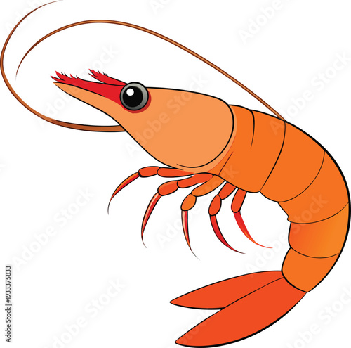 Orange cartoon shrimp with long antennae and detailed segments vector illustration EPS PNG file