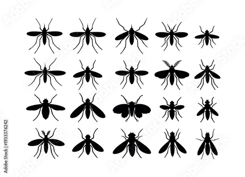 Mosquito and flies insect set, black silhouettes of flying pests, disease vectors, and health risk symbols