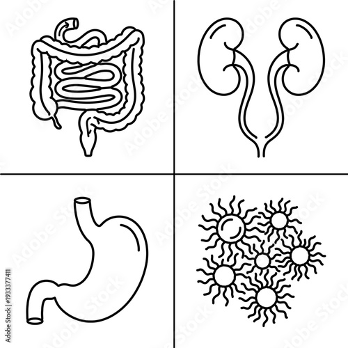 A set of four vector graphic illustrations depicting human organs and microorganisms