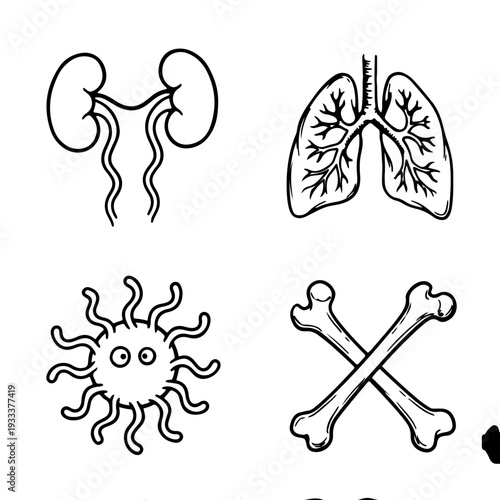 A set of four medical icons including kidneys, lungs, virus and bones