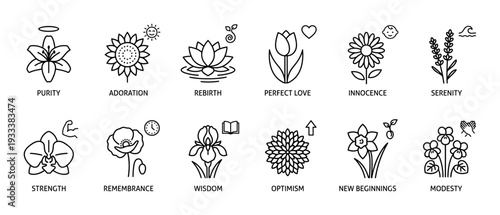 Set of twelve flower icons with their symbolic meanings, including purity, love, and rebirth, drawn in a minimalist black line art style and isolated on a white background