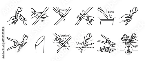 Set of black line art icons showing the process of arranging tulips in a vase, from cutting stems with secateurs to the final bouquet, isolated on a white background