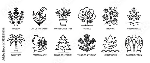 Biblical plants and symbols icon set in a simple black outline style, featuring hyssop, fig tree, pomegranate, palm tree, and other religious illustrations isolated on white