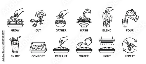 Set of black line art icons showing the complete cycle of growing microgreens at home, with step-by-step instructions for planting and harvesting, isolated on a white background