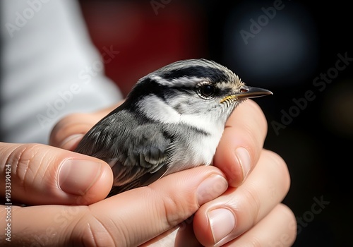 A person gently holding a small bird in their hands outdoors