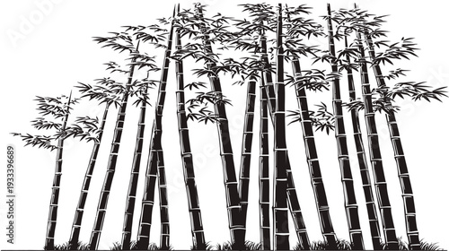 A black and white illustration of a bamboo forest. The stalks are tall and upright, some with leaves