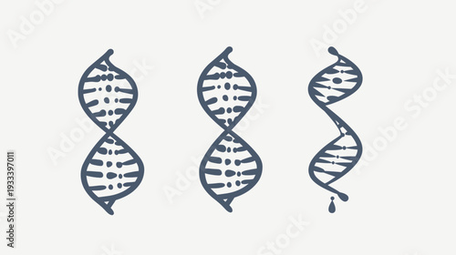 Hand-drawn illustrations of three abstract DNA strands on a white background, simplistic and artistic