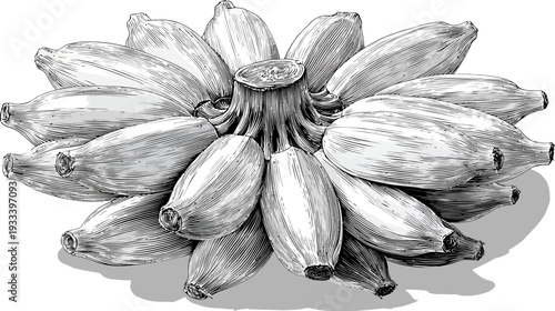 A cluster of bananas rendered in monochrome.  Each banana displays textured peel