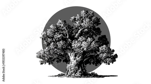 A detailed monochrome illustration of a grand oak tree with a circular shadow background