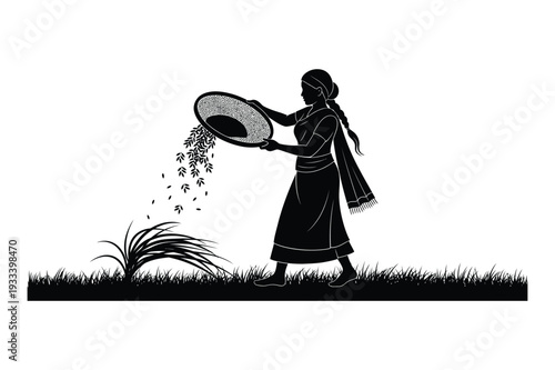 Indian Farmer Sifting Grain: Rural Harvest Activity