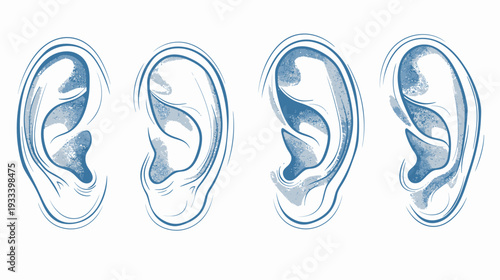 Stylized illustrations of four ears in blue tones on a white background, minimal detail