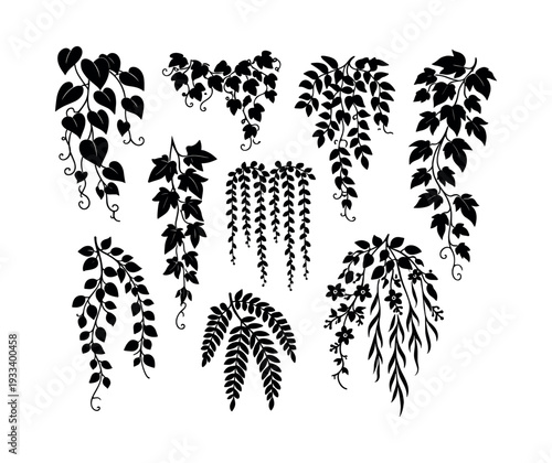 Various trailing plant silhouettes with leaves and tendrils, forming decorative floral elements for design and nature concepts