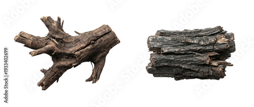 Textured natural wood set with old rustic root and burnt charcoal log on a transparent background