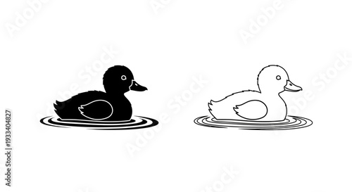 Ducks swimming together Vector