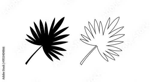 Dandelion seed puff illustration Vector