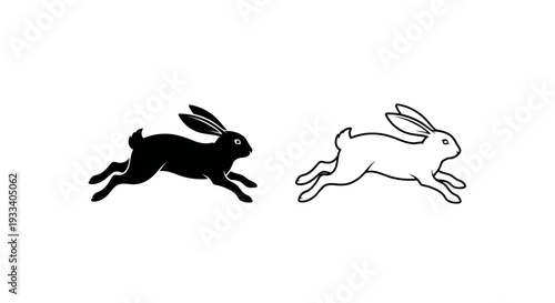 Two rabbits running Vector